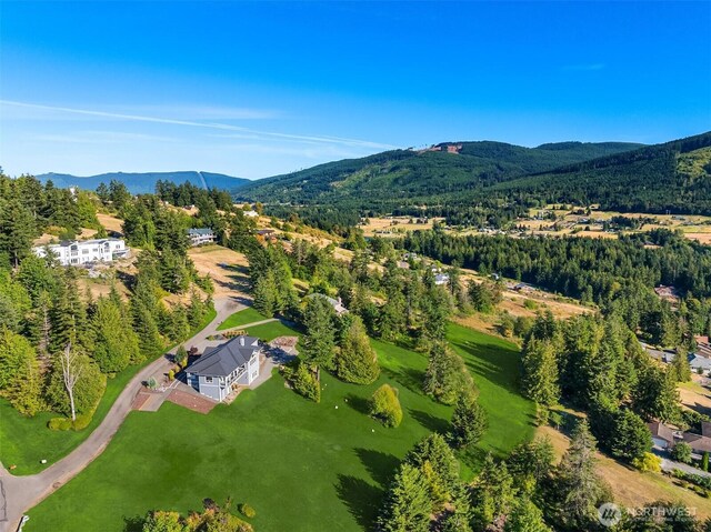 52 Carriage Dr, Sequim, WA 98382 - aerial overview of property's location with mountains and a forest
