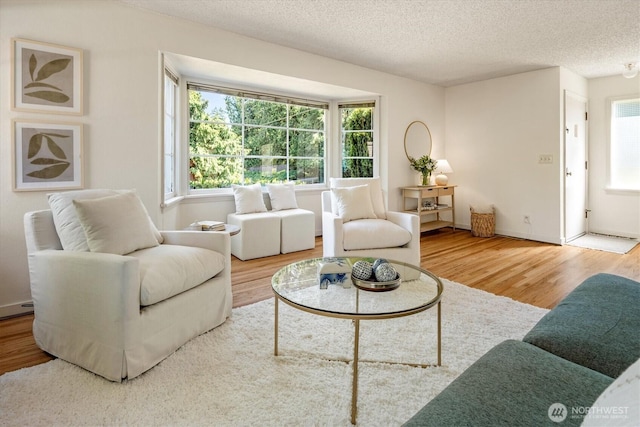 9501 27th Ave NW, Seattle, WA 98117 - photo 7