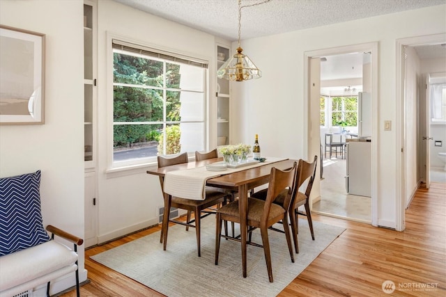 9501 27th Ave NW, Seattle, WA 98117 - photo 11