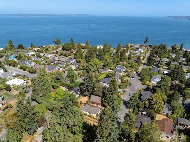 9501 27th Ave NW, Seattle, WA 98117 - photo 35