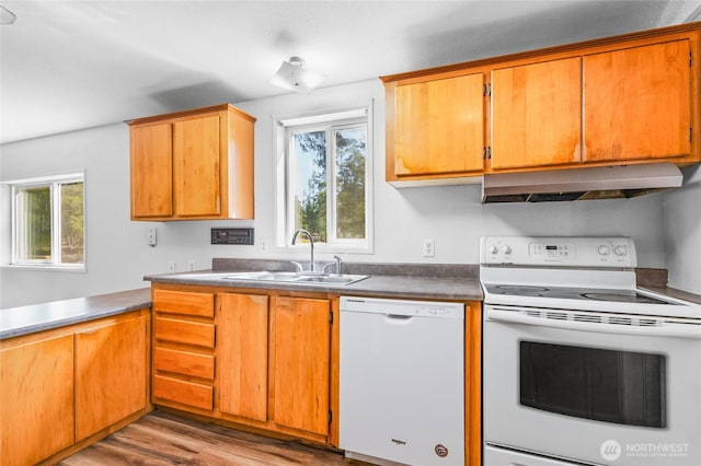 321 E Sunny Woods Rd W, Shelton, WA 98584 - photo 8