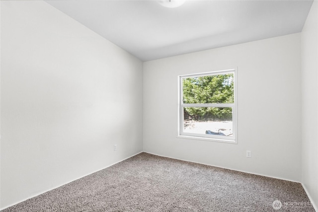 321 E Sunny Woods Rd W, Shelton, WA 98584 - photo 14
