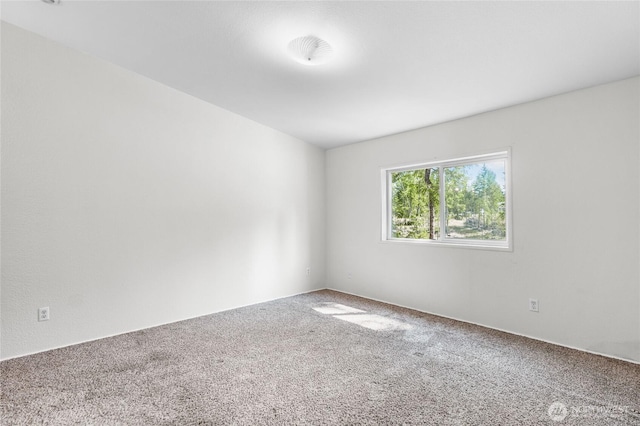 321 E Sunny Woods Rd W, Shelton, WA 98584 - photo 15