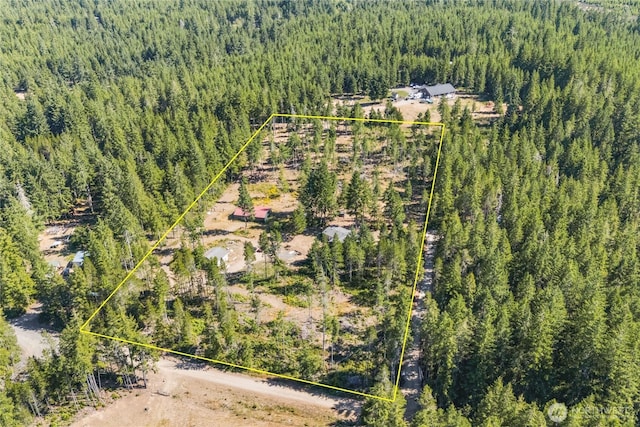 321 E Sunny Woods Rd W, Shelton, WA 98584 - photo 32