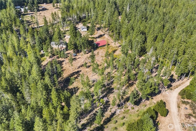 321 E Sunny Woods Rd W, Shelton, WA 98584 - photo 34
