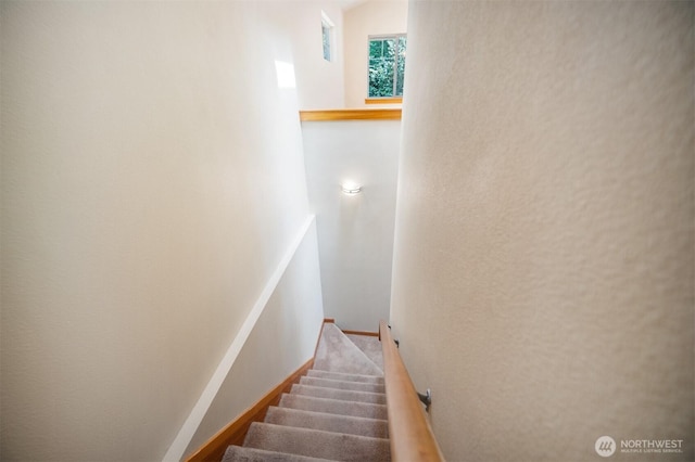 2446 SW Webster St, Seattle, WA 98106 - photo 12