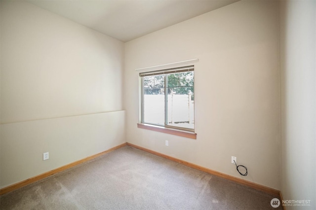 2446 SW Webster St, Seattle, WA 98106 - photo 20