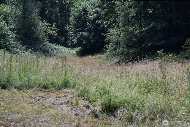 1085 Oak Point Rd, Longview, WA 98632 - photo 13