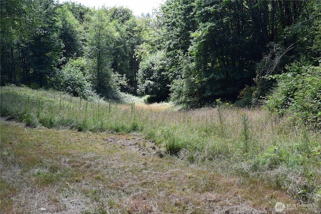 1085 Oak Point Rd, Longview, WA 98632 - photo 14
