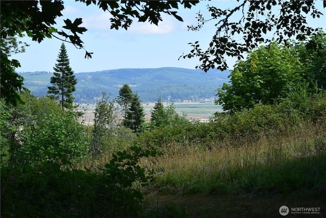 1085 Oak Point Rd, Longview, WA 98632 - photo 15