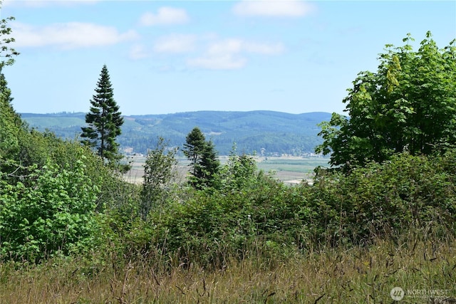 1085 Oak Point Rd, Longview, WA 98632 - photo 17