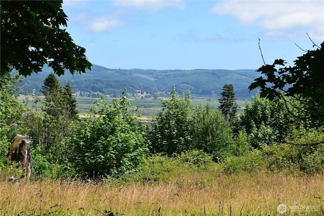 1085 Oak Point Rd, Longview, WA 98632 - photo 25