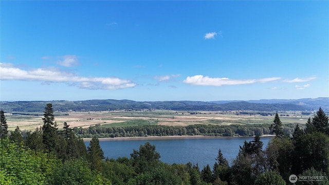 1085 Oak Point Rd, Longview, WA 98632 - photo 4