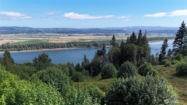 1085 Oak Point Rd, Longview, WA 98632 - photo 5