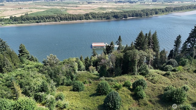 1085 Oak Point Rd, Longview, WA 98632 - photo 6