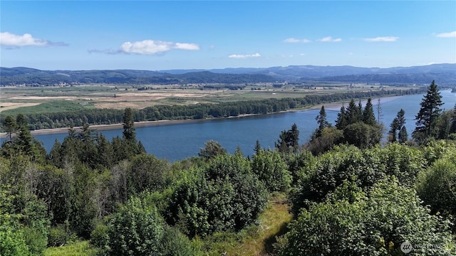 1085 Oak Point Rd, Longview, WA 98632 - photo 8