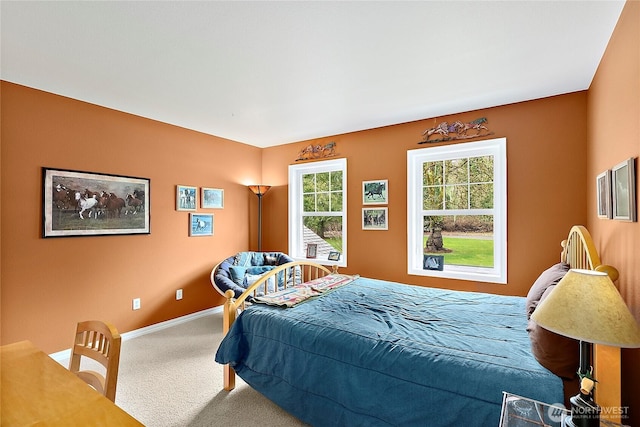 8007 162nd Ave SW, Longbranch, WA 98351 - photo 21
