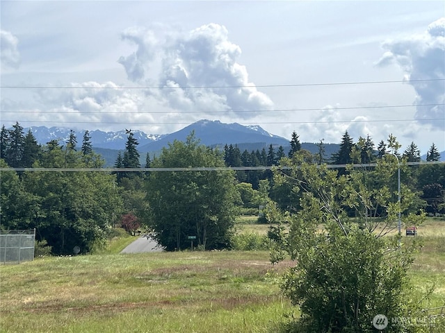 4322 C St, Extension, Port Angeles, WA 98363 - photo 2