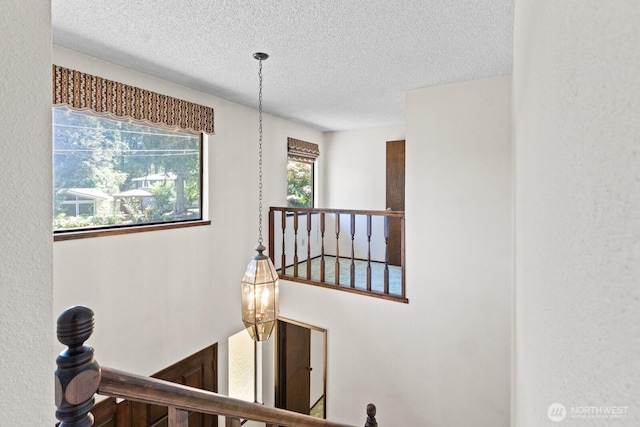 407 Logger St SE, Lacey, WA 98503 - photo 17