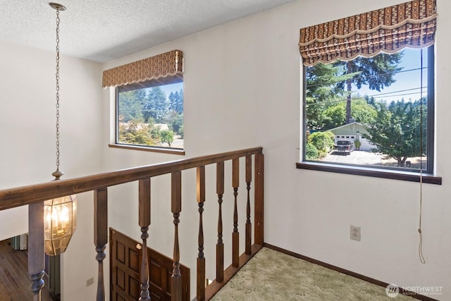 407 Logger St SE, Lacey, WA 98503 - photo 26