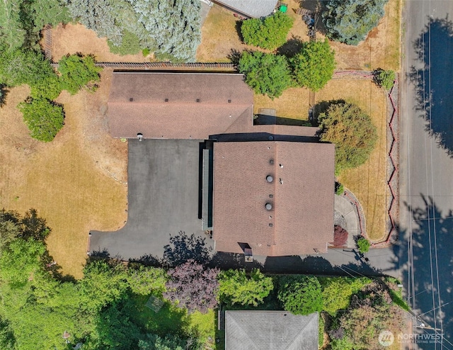 407 Logger St SE, Lacey, WA 98503 - photo 38