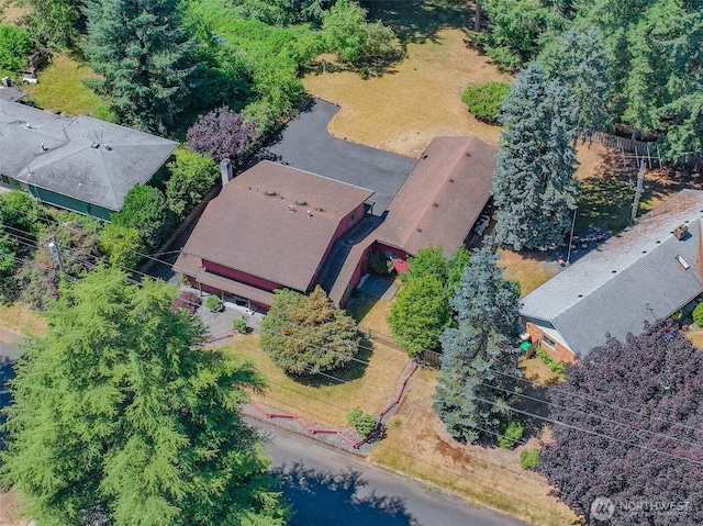 407 Logger St SE, Lacey, WA 98503 - photo 39