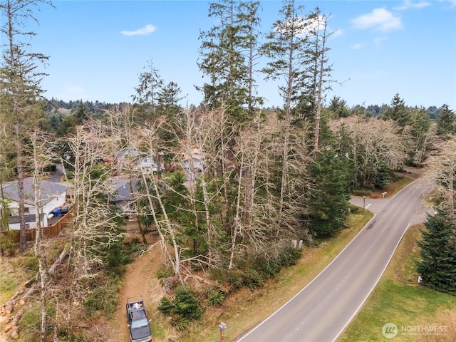 107 Duck Lake Dr SE, Ocean Shores, WA 98569 - photo 4