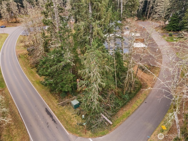 107 Duck Lake Dr SE, Ocean Shores, WA 98569 - photo 7