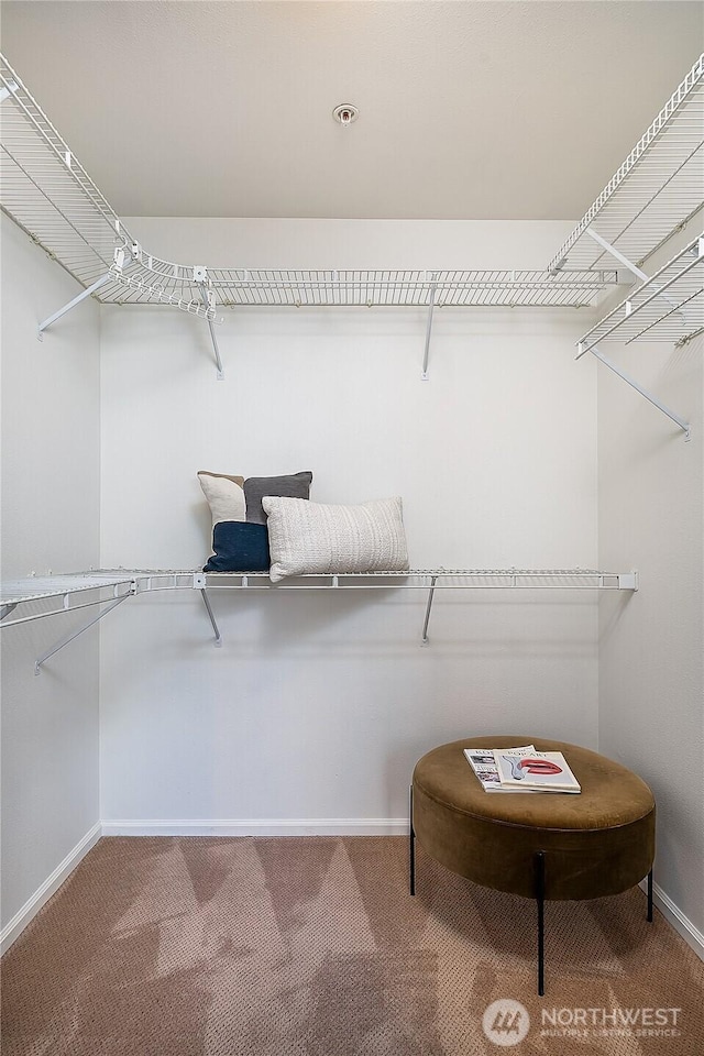 1762 NW 57th St Unit 201, Seattle, WA 98107 - photo 17