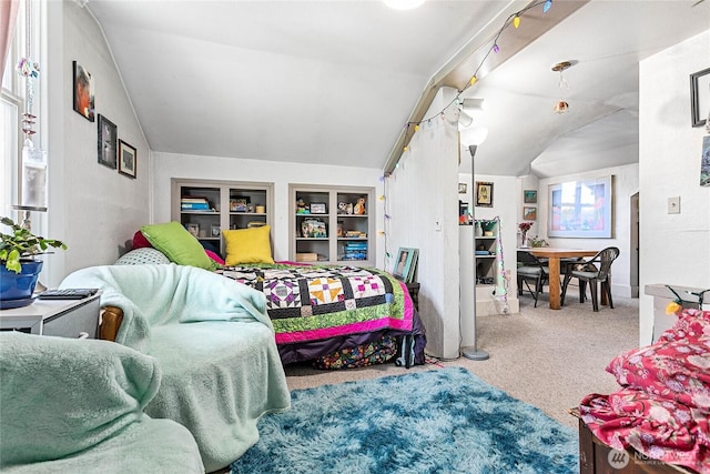 2639 Yew St, Bellingham, WA 98226 - carpeted living room with vaulted ceiling