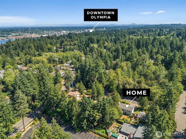 2412 Burbank Ave NW, Olympia, WA 98502 - photo 37