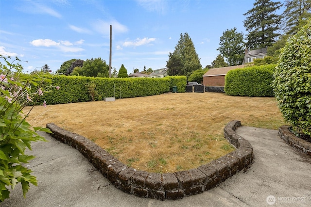 11758 1st Ave NW, Seattle, WA 98177 - photo 36