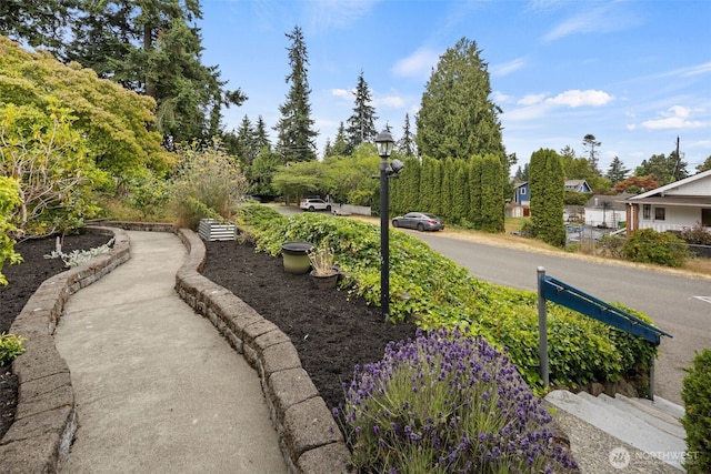 11758 1st Ave NW, Seattle, WA 98177 - photo 29