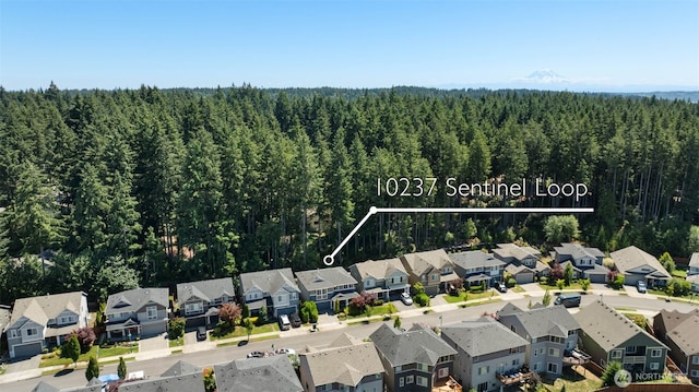 10237 Sentinel Loop, Gig Harbor, WA 98332 - photo 34
