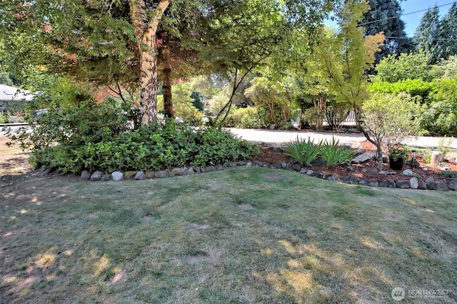 1912 Elliott Ave NW, Olympia, WA 98502 - photo 5