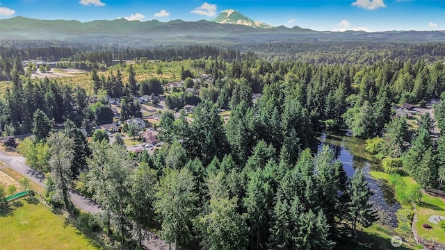 12026 261st Ave E, Buckley, WA 98321 - photo 28