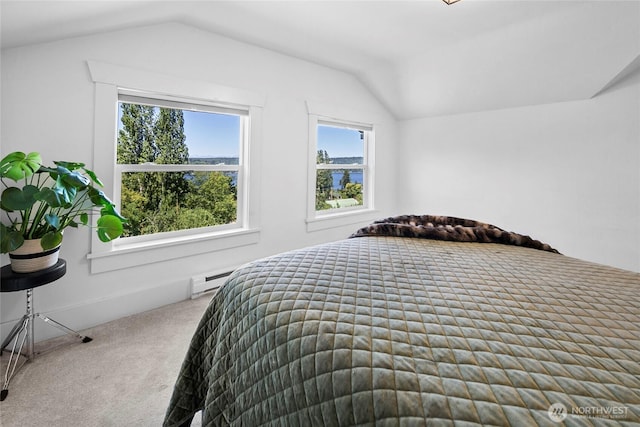 16832 Mcintyre Rd SW, Vashon, WA 98070 - photo 26