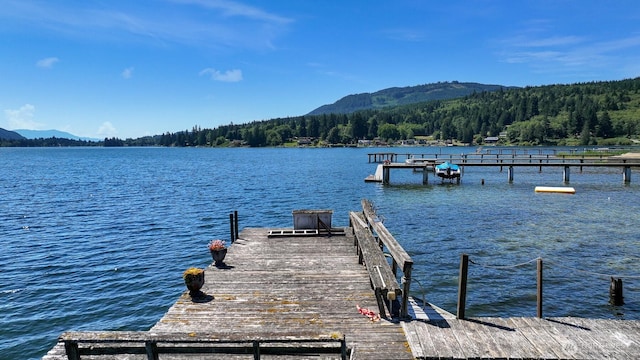 850 Autumn Ln, Bellingham, WA 98229 - photo 4