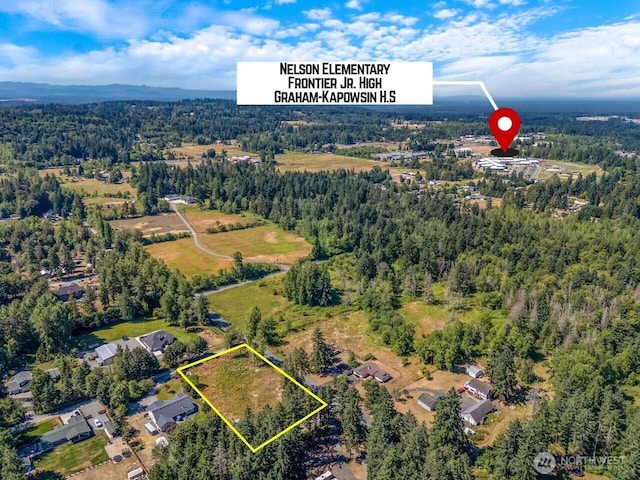 11804 214th St E, Graham, WA 98338 - photo 2