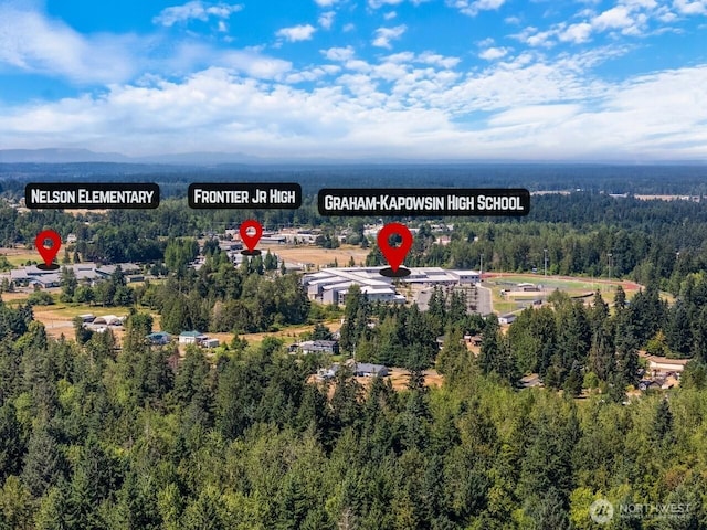 11804 214th St E, Graham, WA 98338 - photo 12
