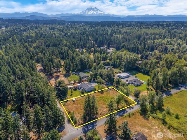 11804 214th St E, Graham, WA 98338 - photo 8