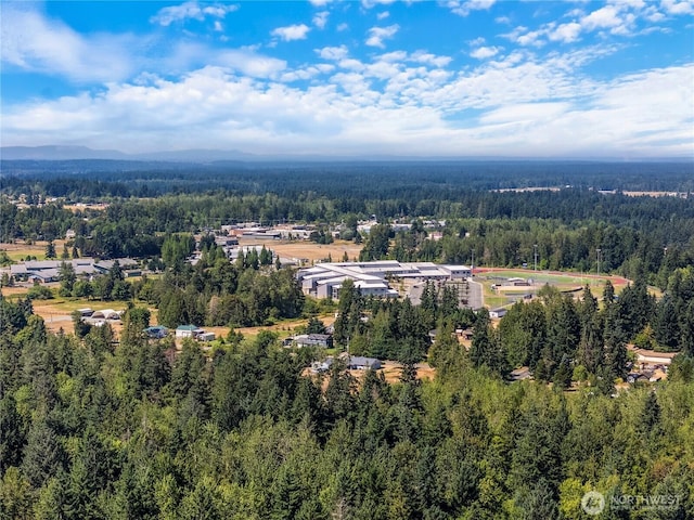 11804 214th St E, Graham, WA 98338 - photo 11