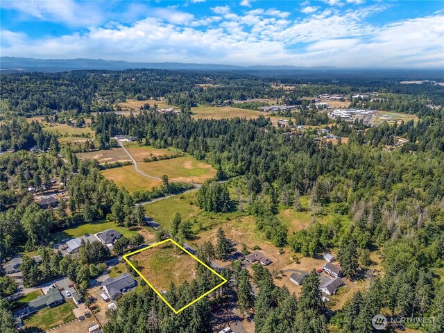 11804 214th St E, Graham, WA 98338 - photo 10