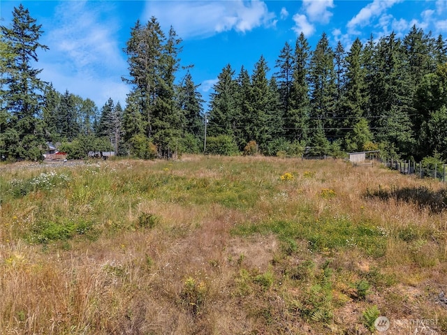 11804 214th St E, Graham, WA 98338 - photo 7