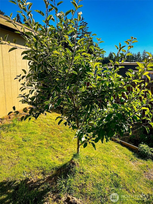 1921 208th St E Unit 15, Spanaway, WA 98387 - photo 25