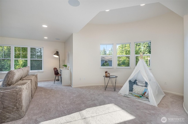 8204 135th Pl SE, Snohomish, WA 98296 - photo 19