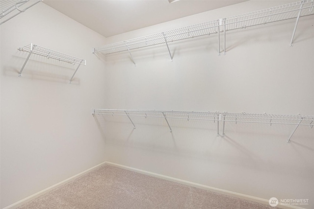 8204 135th Pl SE, Snohomish, WA 98296 - photo 25