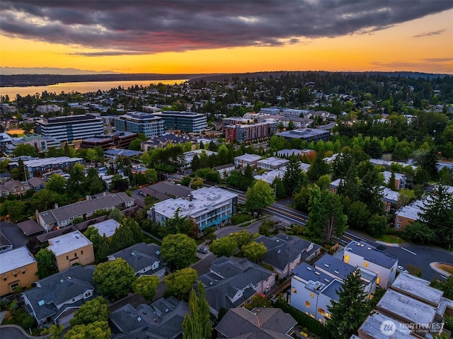 134 8th Ct, Kirkland, WA 98033 - photo 39