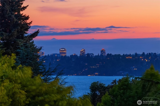 134 8th Ct, Kirkland, WA 98033 - photo 37