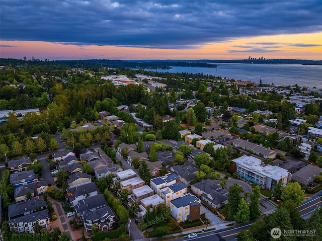 134 8th Ct, Kirkland, WA 98033 - photo 38